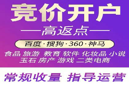 实战派经验分享：百度竞价代理成功案例揭秘